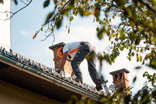 Best Flat Roof Repair Services  in Blasdell, NY