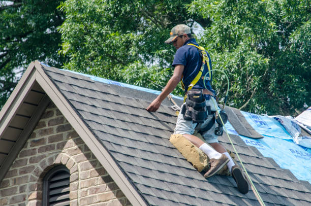 Best Roof Replacement Cost  in Blasdell, NY